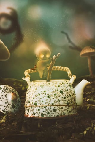 Tea Chronicles Creative Project